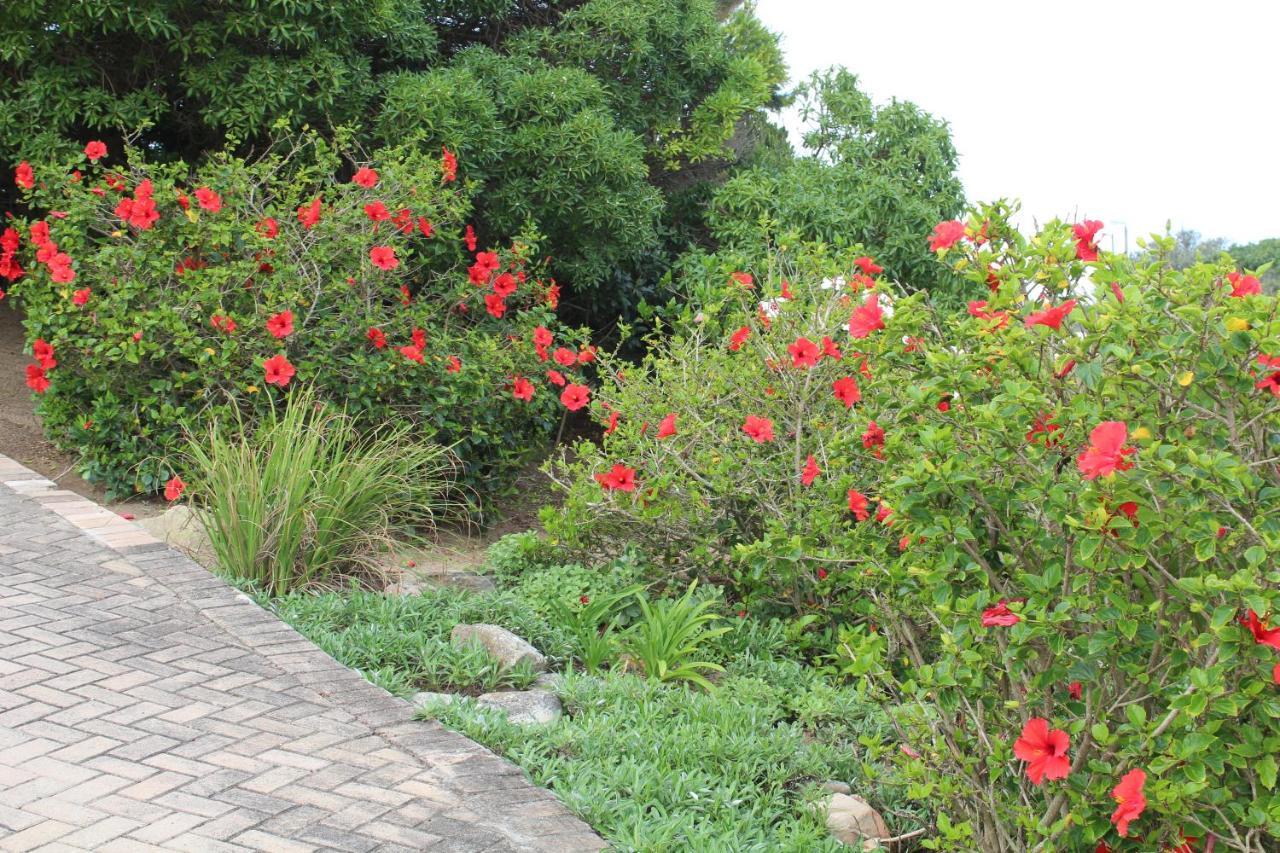 Beach Break B&B Port Alfred Ngoại thất bức ảnh